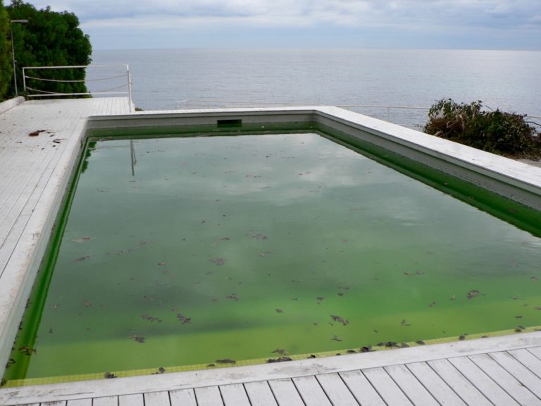 salt water pool cloudy and green